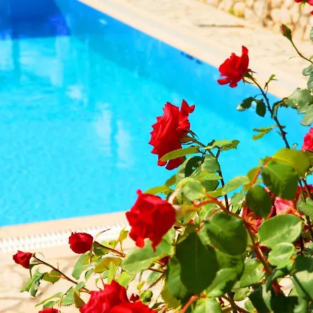 Lefkada Villa *